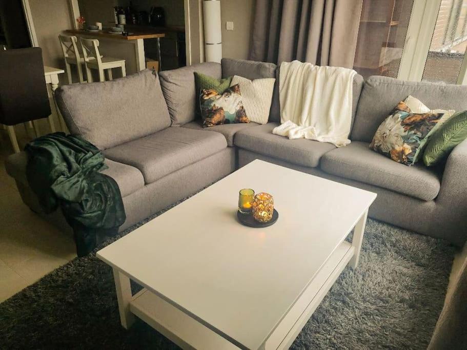 ein Wohnzimmer mit einem Sofa und einem Couchtisch in der Unterkunft Gezellig appartement in Brugge, nabij Damme. in Brügge