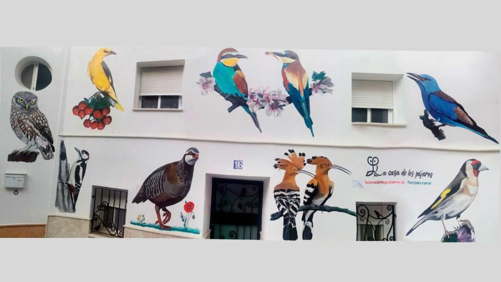 uma parede com pássaros pintados na lateral de um edifício em La Casa de los Pájaros em Vélez Blanco