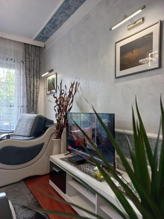 a living room with a laptop computer on a table at Twins Apartments in Čačak