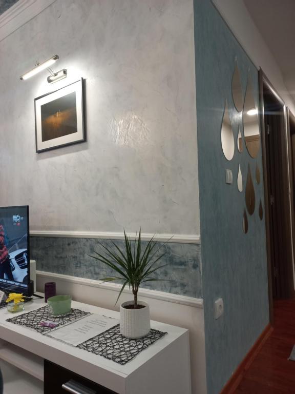 a office with a desk with a plant on it at Twins Apartments in Čačak