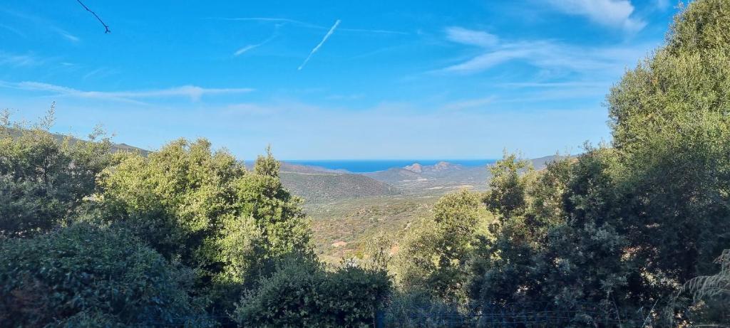 Vue sur une forêt avec des montagnes en arrière-plan dans l'établissement Vos vacances à Lama France Corse, à Lama