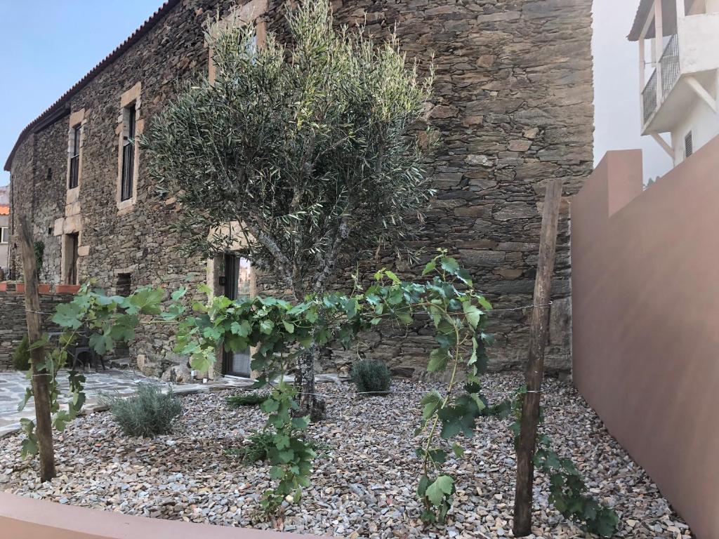 Castas do Douro - 一居室房屋