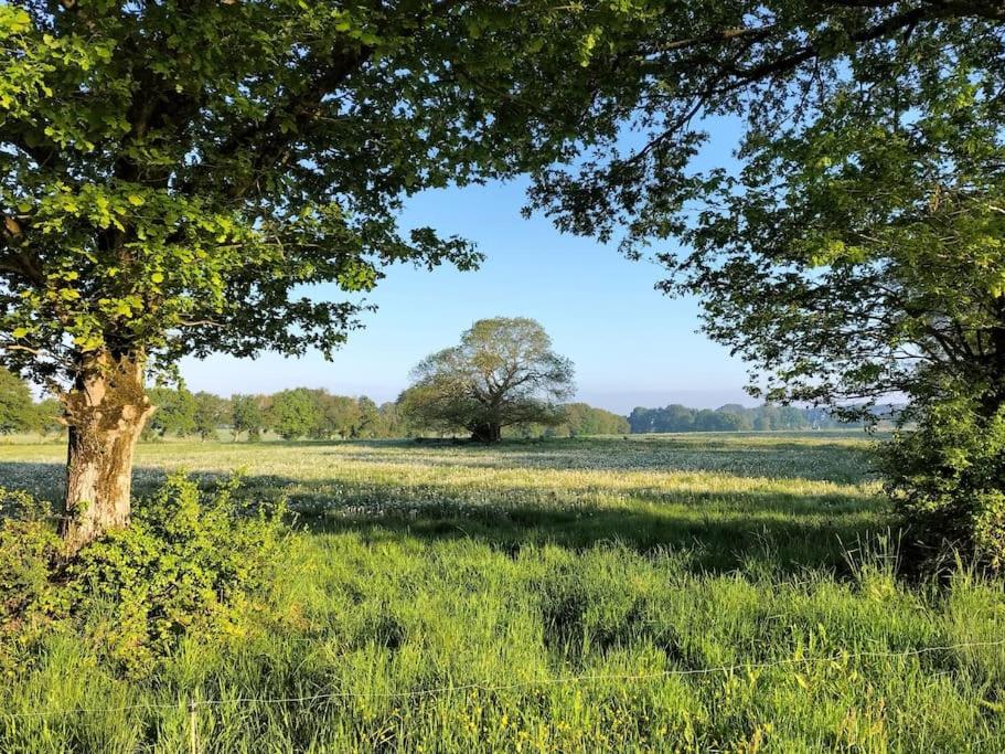 Longère Bretagne - Three-Bedroom House