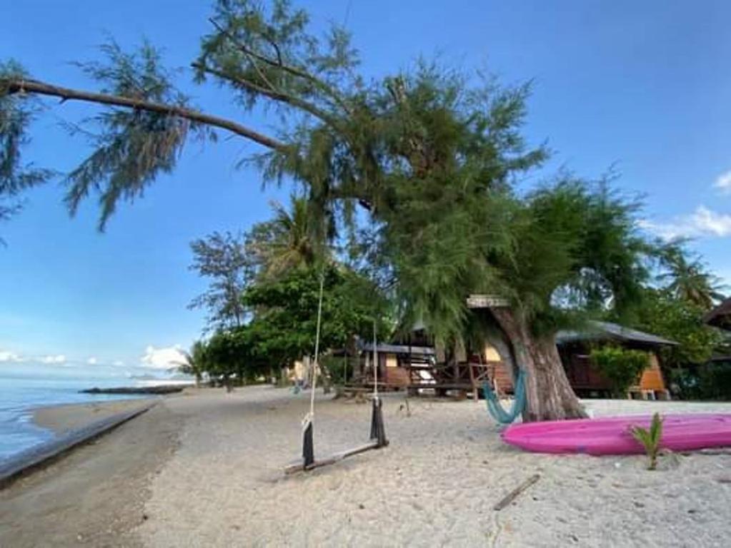 a swing on a beach next to a tree at Pinks Bungalow in Baan Tai
