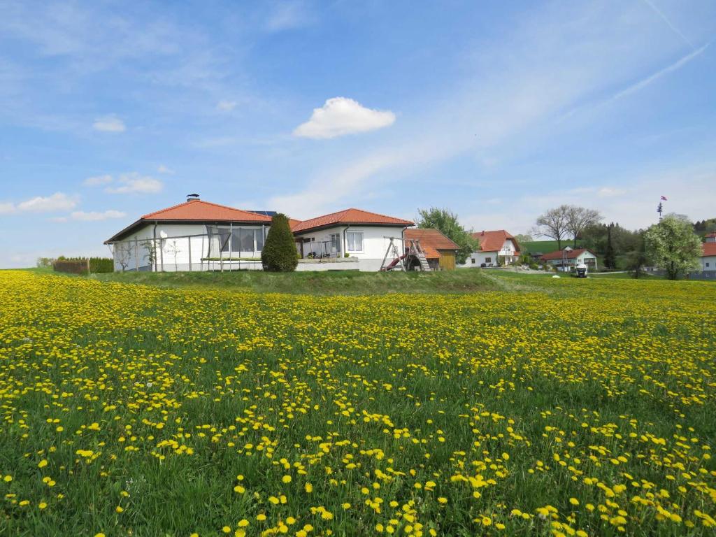 Vonkajšia záhrada v ubytovaní Traumferienhaus XXL Ortner