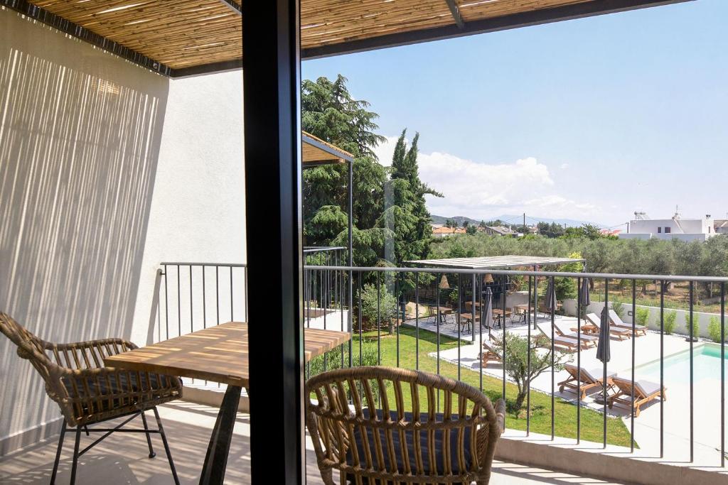 Elies Aesthetic Living - 5