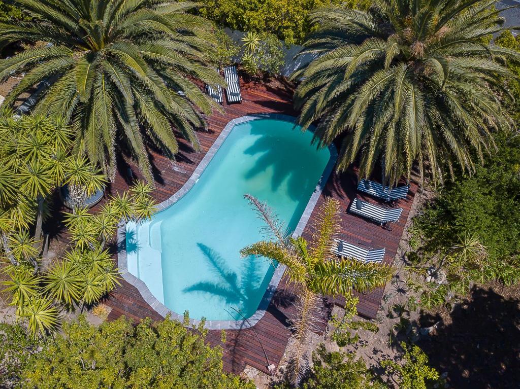 uma vista sobre uma piscina com palmeiras em Africa Lodge em Somerset West