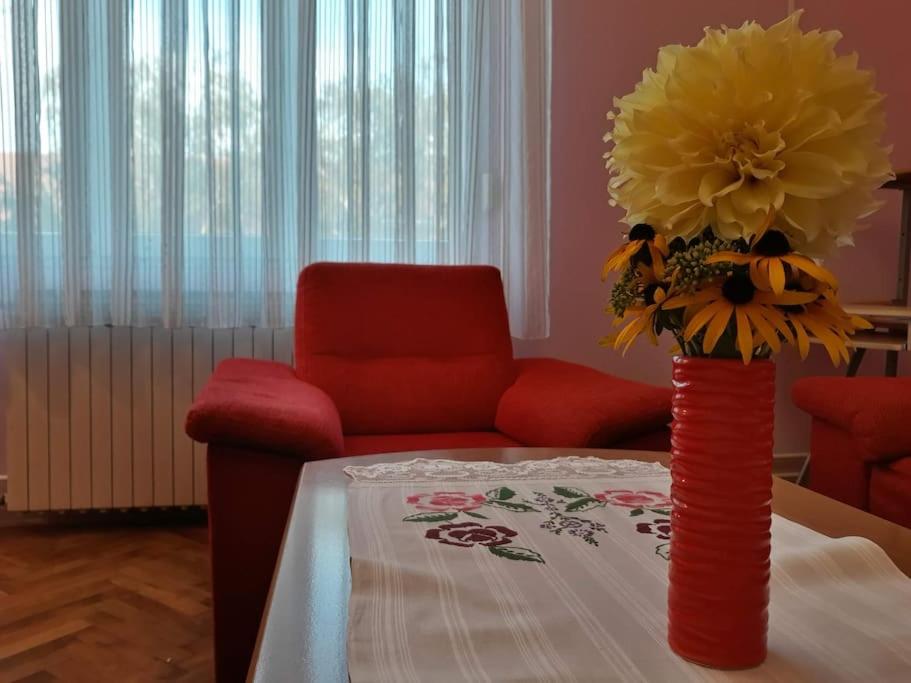 um vaso vermelho com flores amarelas sentado numa mesa em Apartman Slavonija em Osijek