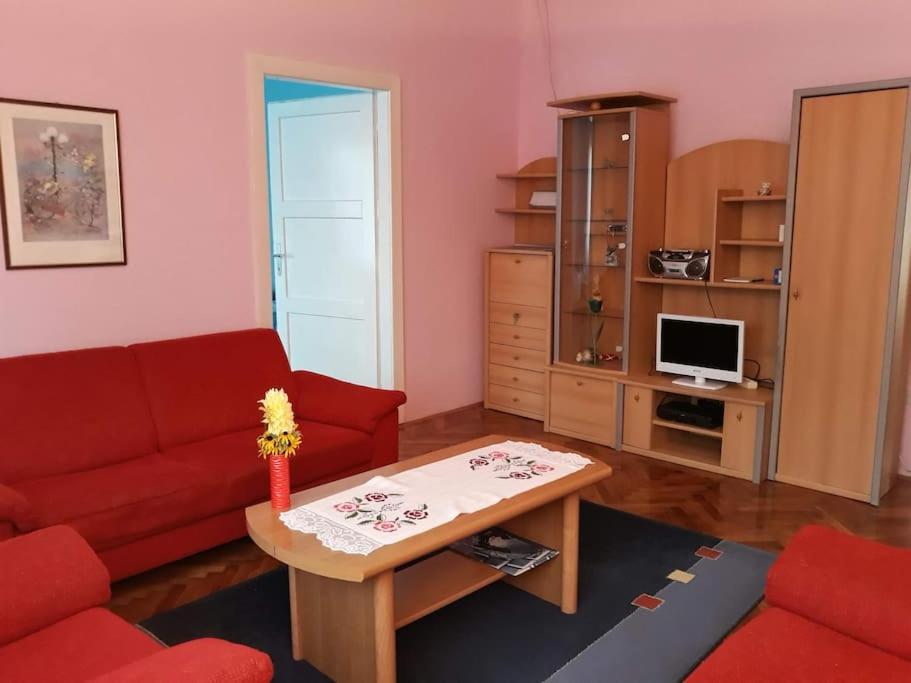 Kuchyňa alebo kuchynka v ubytovaní Apartman Slavonija