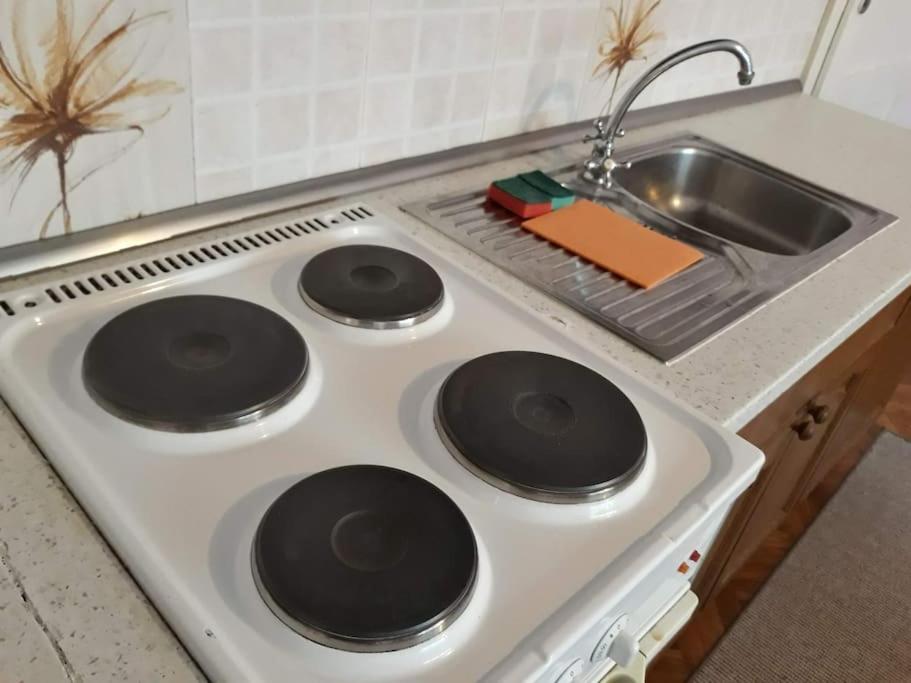Kuchyňa alebo kuchynka v ubytovaní Apartman Slavonija