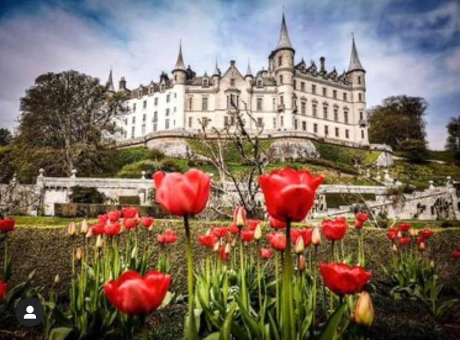 a bunch of red tulips in front of a castle at Frasers Apartment in Golspie