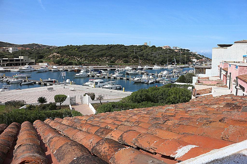 Vigna Marina Apartments - Appartamento