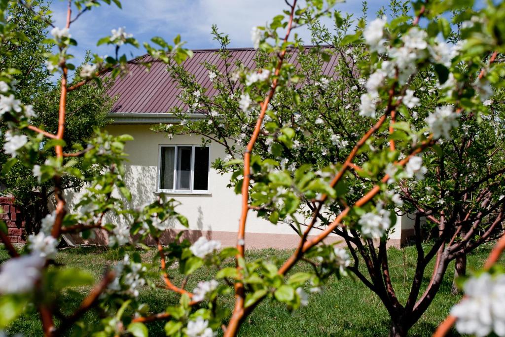 Zahrada ubytování Barskoon Guest House