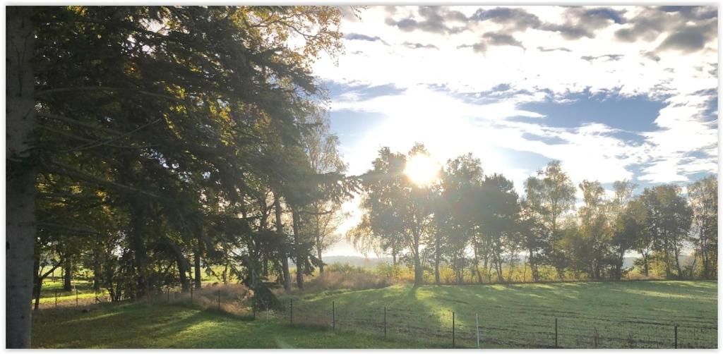 a field with a fence and trees and the sun at Getelodge - Private Family Country Lodge - Child and Pet friendly in Getelo