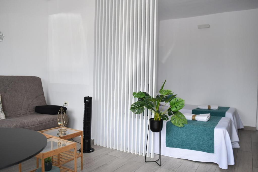 Casa Sabare - Estudio