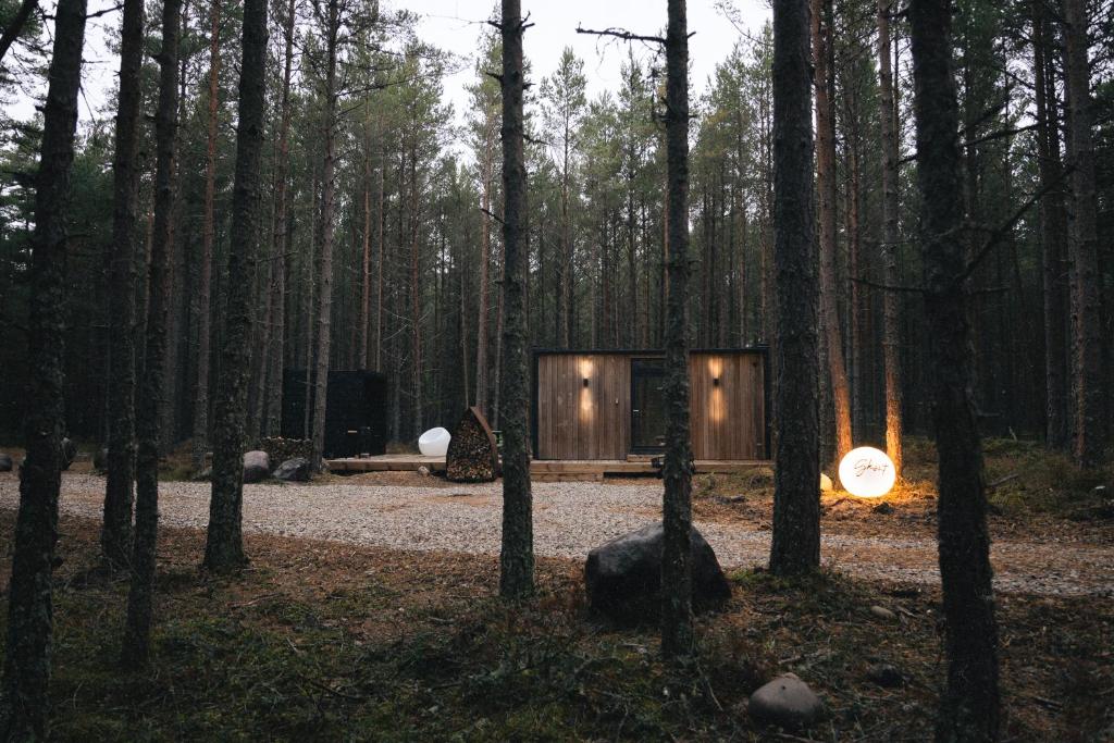 une cabine au milieu d'une forêt dans l'établissement ÖÖD Hötels Rooslepa - FIKA, MYSA , SKÖNT-with sauna, à Rooslepa