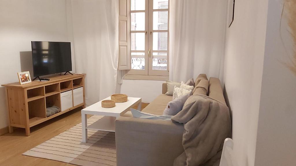 Televízia a/alebo spoločenská miestnosť v ubytovaní Del Parque Flats Mitjana