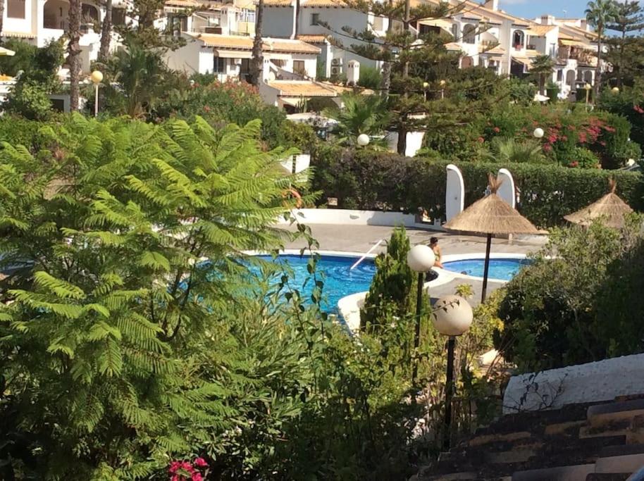 vistas a una piscina con árboles y edificios en Kalle Blanca - Cabo Roig, en Cabo Roig
