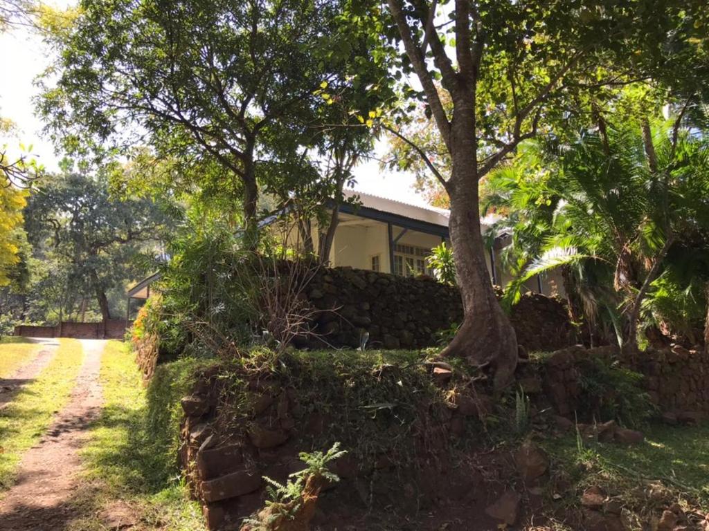 uma casa atrás de uma parede de pedra com uma árvore em Paphiri House em Zomba