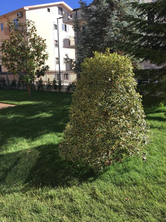 Ogród w obiekcie Villa Andalù Appartamenti