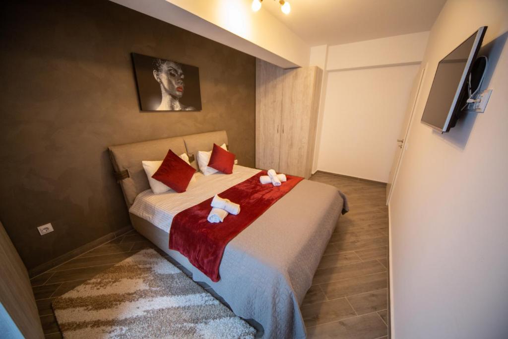 a bedroom with a bed with red pillows and a tv at Alezi Residence in Braşov