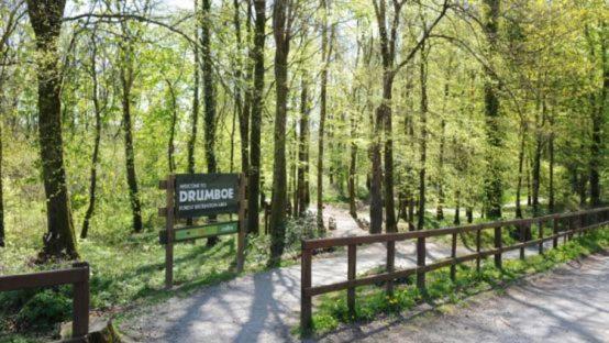 A comfortable stay in Ballybofey - Housity