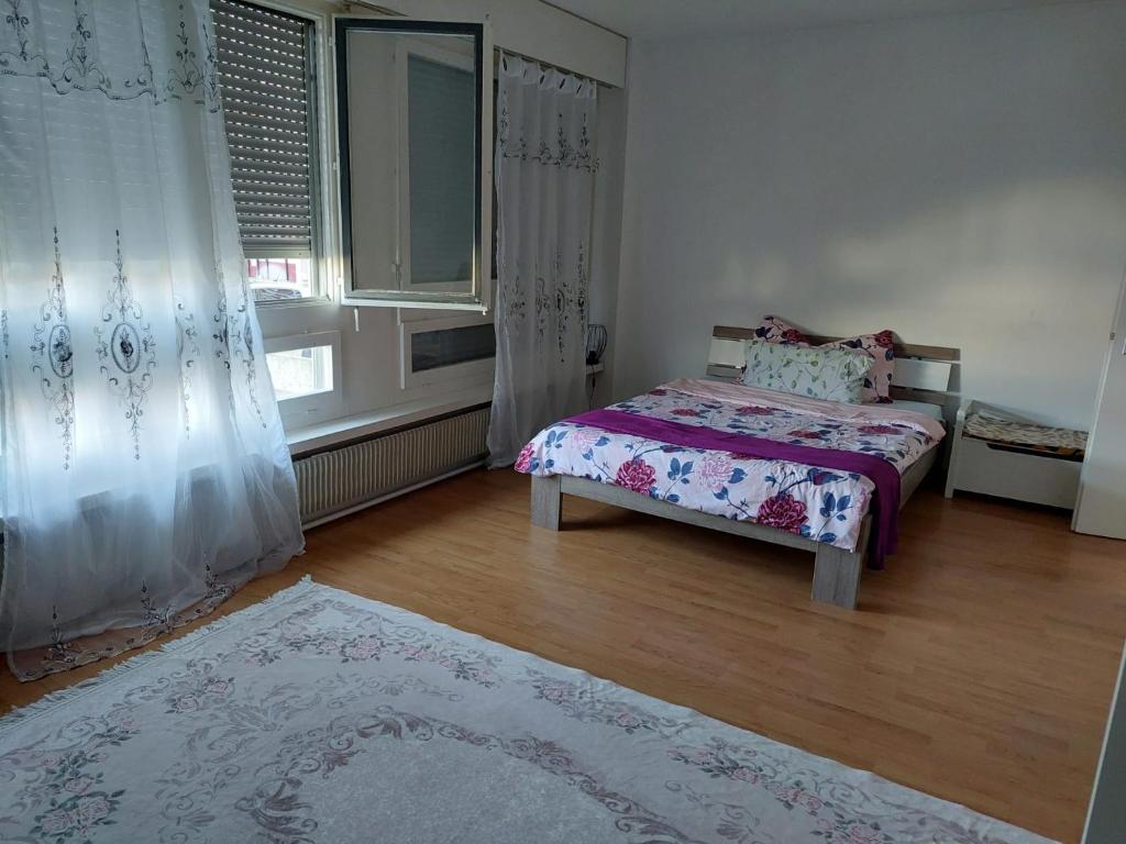 1 dormitorio con cama, ventana y alfombra en Kleine Apartment im Zentrum Bern, en Berna