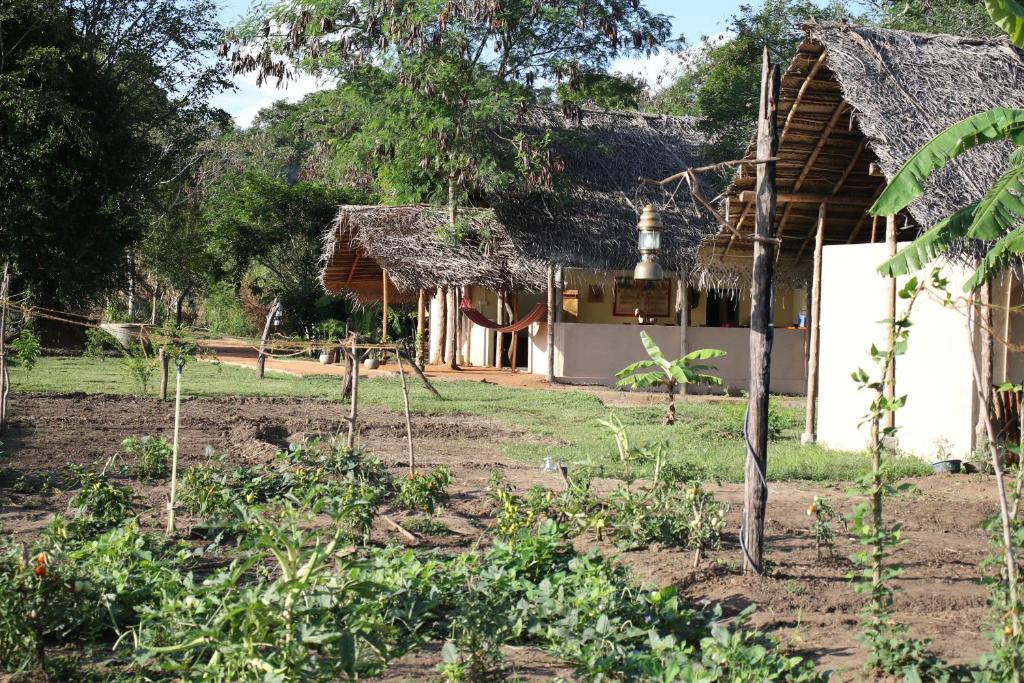 Zahrada ubytování Nirvaan Safari Lodge