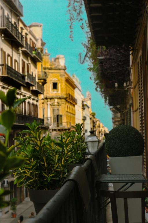 balkon z roślinami i budynkami przy ulicy w obiekcie Quattrocantiapartments w mieście Palermo