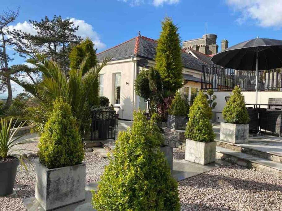 a house with a bunch of trees and an umbrella at Tre Mynach Barmouth in Barmouth