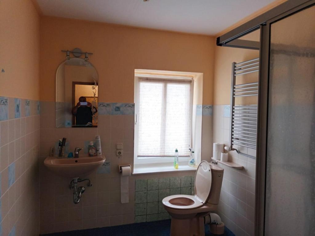 a bathroom with a toilet and a sink at Pension für Monteure in Leisnig in Leisnig