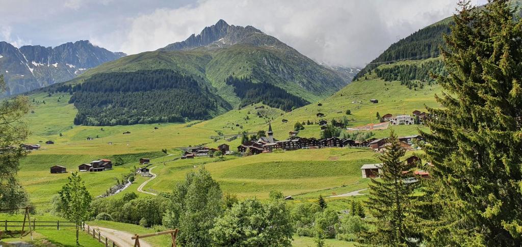 Příroda nedaleko apartmánu