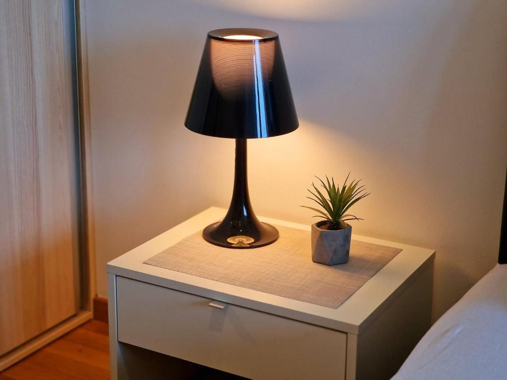 Postel nebo postele na pokoji v ubytování Apartment Lasta