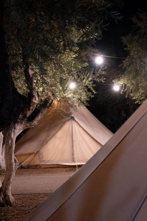 Fotografie z fotogalerie ubytování Camping Chania v destinaci Kato Daratso