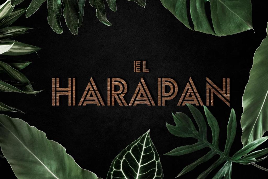 El Harapan - Sumérgete en una selva a pie de playa - Grupo Querbes - 一居室公寓
