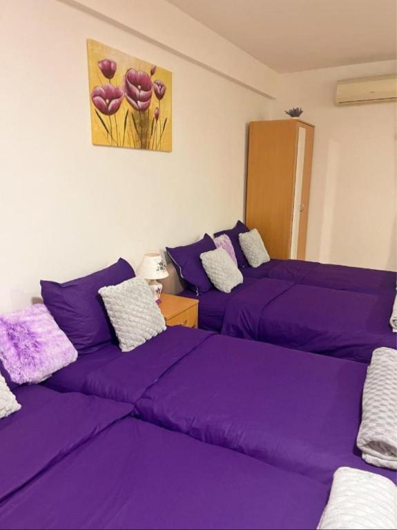 Apartman Lavanda Banja Koviljaca - Appartement D'une Chambre