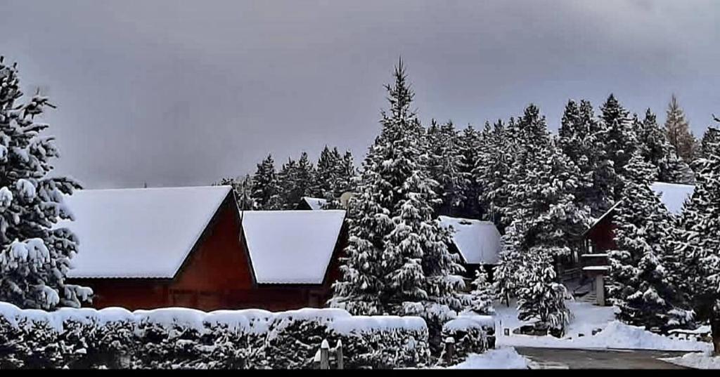 a house covered in snow next to a forest of trees at Maison de bois finlandaise au pied des pistes in Bolquere Pyrenees 2000
