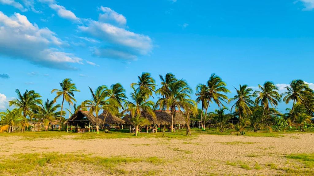 a group of palm trees and huts on a beach at El Remanso del Santuario in Camarones