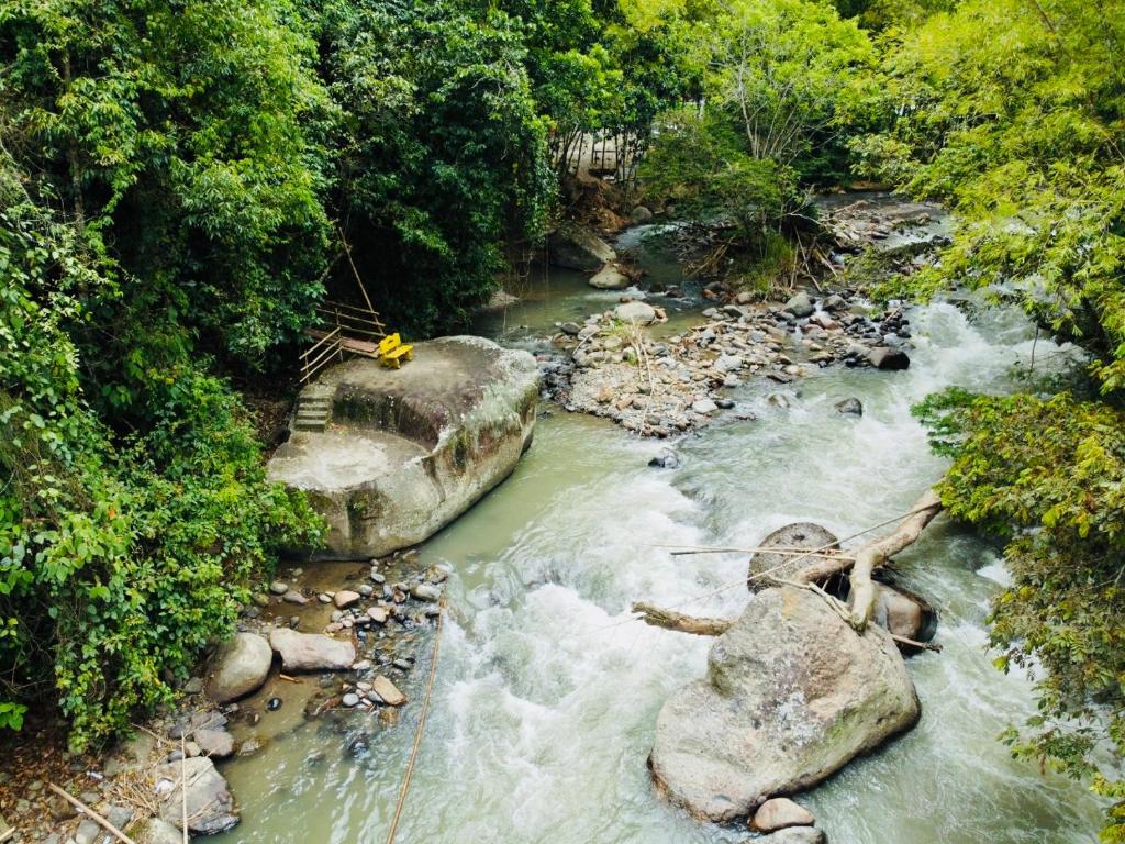 Glamping La Cabanita Santuario - Suite Met Uitzicht Op De Rivier
