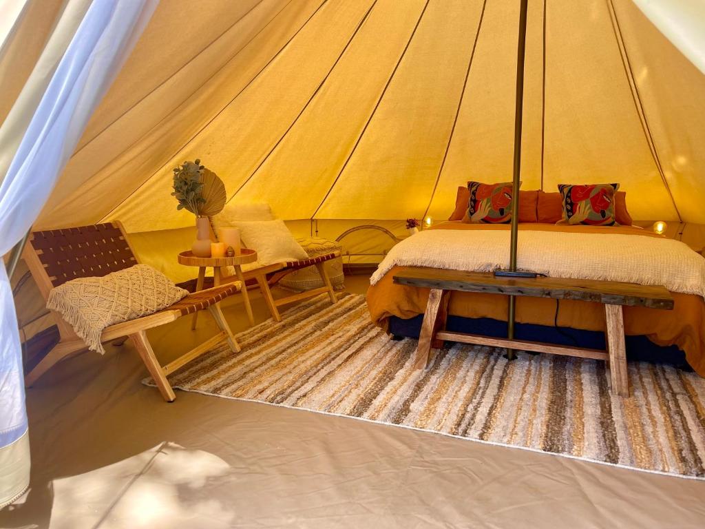 een slaapkamer met een bed en een stoel in een tent bij Te Anau Lakefront Backpackers in Te Anau