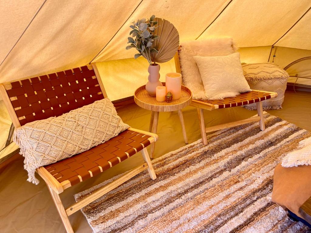 Te Anau Lakefront Backpackers - Resim 22