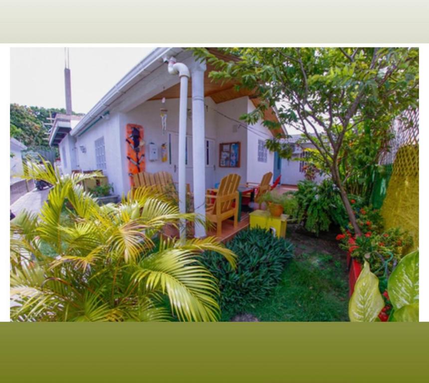 a white house with chairs and plants in the yard at Apartamentos Katy in San Andrés