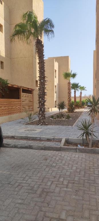 Studio 45 m, with private entrance and terrace