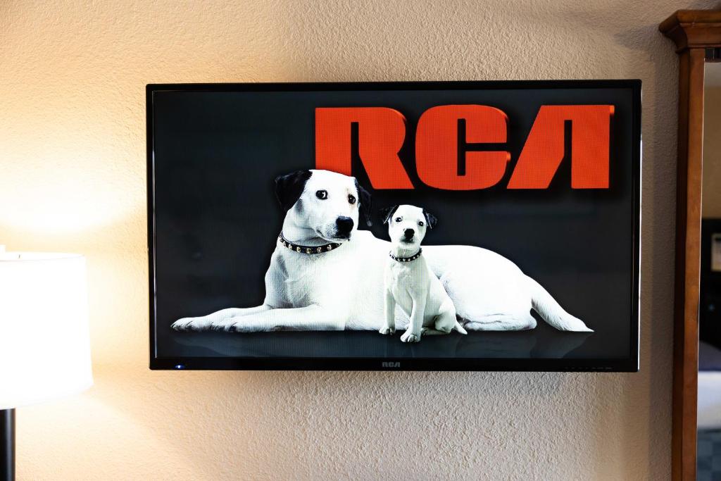 a picture of two white dogs on the wall at Pea Soup Andersen's Inn in Buellton