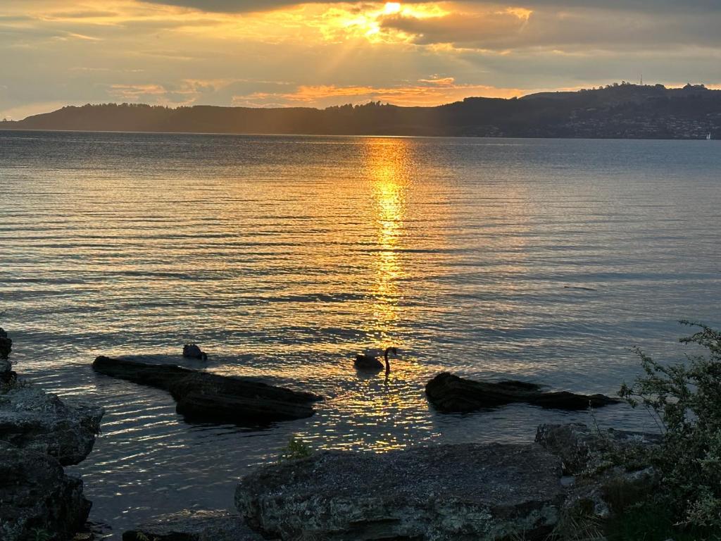 Baycourt Lakefront Motel - Resim 38