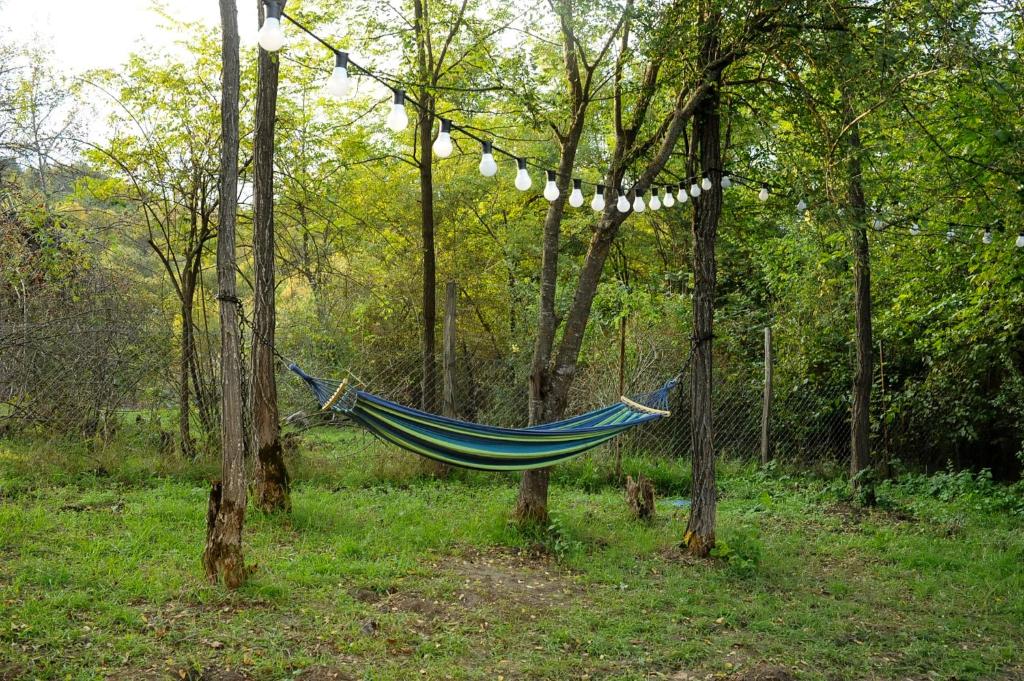 Zahrada ubytování Jvarisa Glamping