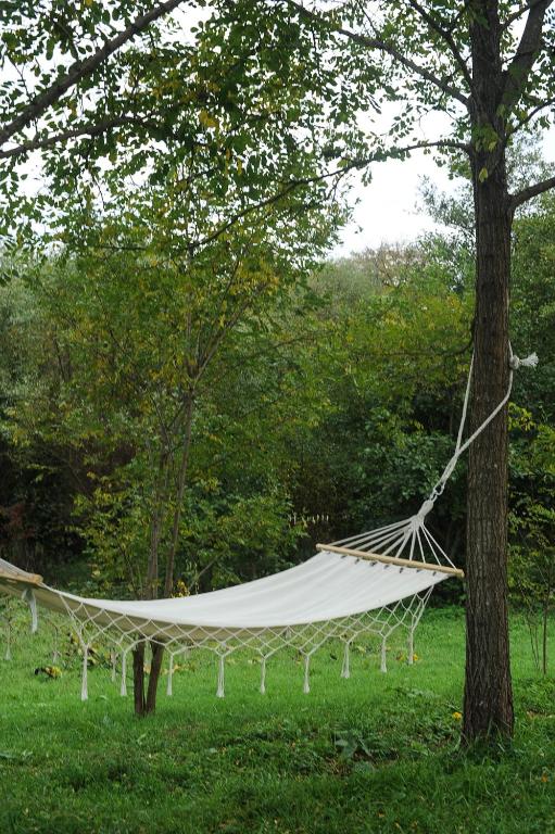 Příroda nedaleko luxury tent