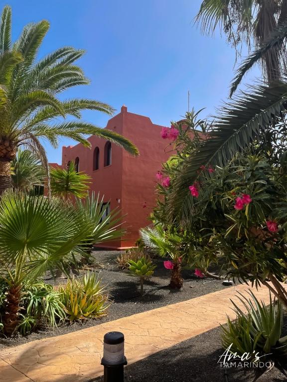 Fotografie z fotogalerie ubytování Tamarindo Amas by Rentalfue v destinaci Corralejo