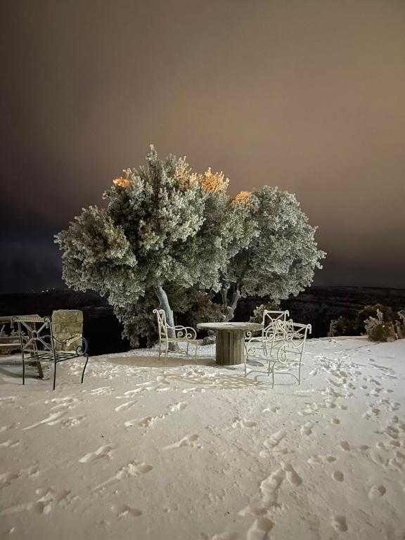 Fotografie z fotogalerie ubytování Jabal Dana Hotel - the highest hotel in Jordan v destinaci Dana
