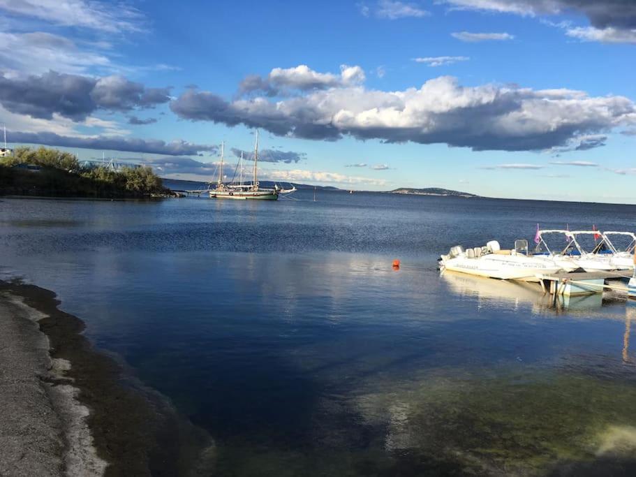 Príroda v okolí apartmánu